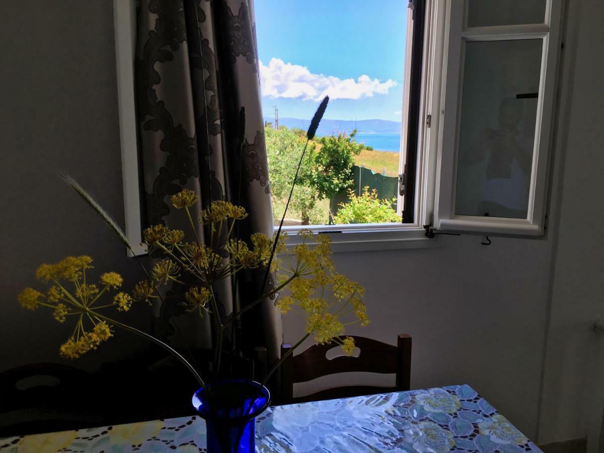 Anthoula'S Sea View Apartment 피소리바디 외부 사진