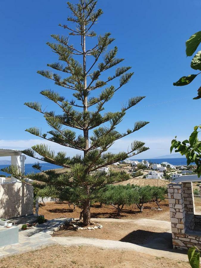 Anthoula'S Sea View Apartment 피소리바디 외부 사진